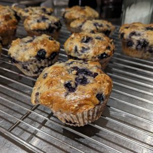 Muffins aux bleuets